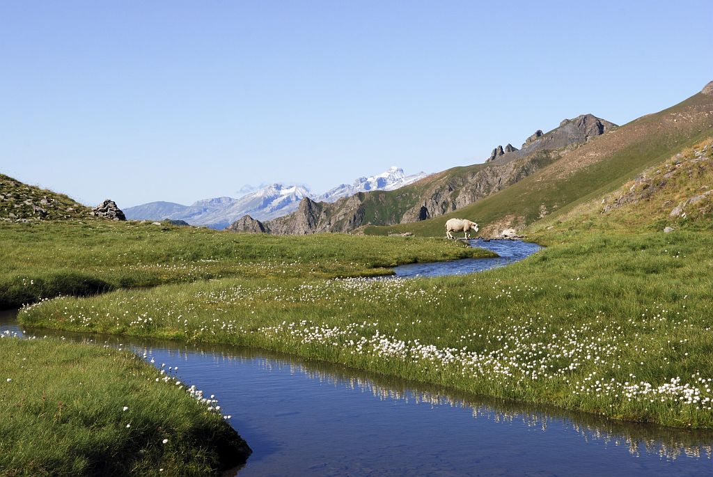 Grand tour des Ecrins - Valbonnais